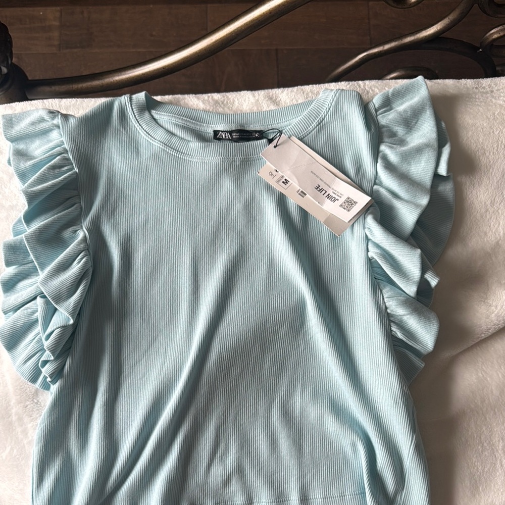 Zara Light Blue Ruffle Sleeve Top